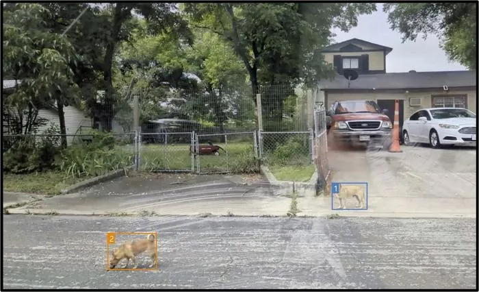 Dog ID