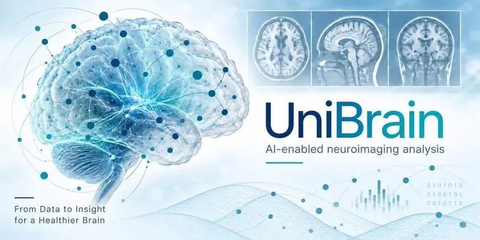 UniBrain: AI-enabled neuroimaging analysis
