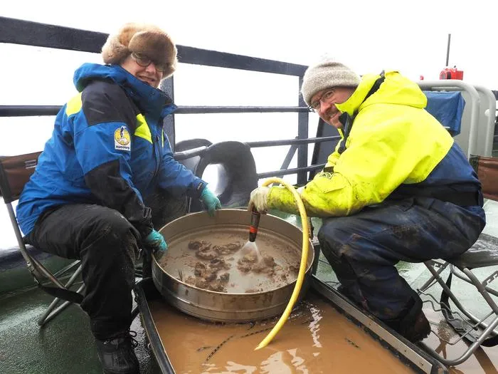 Extracting otoliths