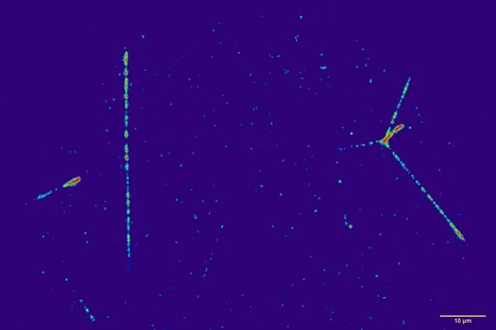 Tracks of cosmic radiation particles recorded during the Artemis I mission.