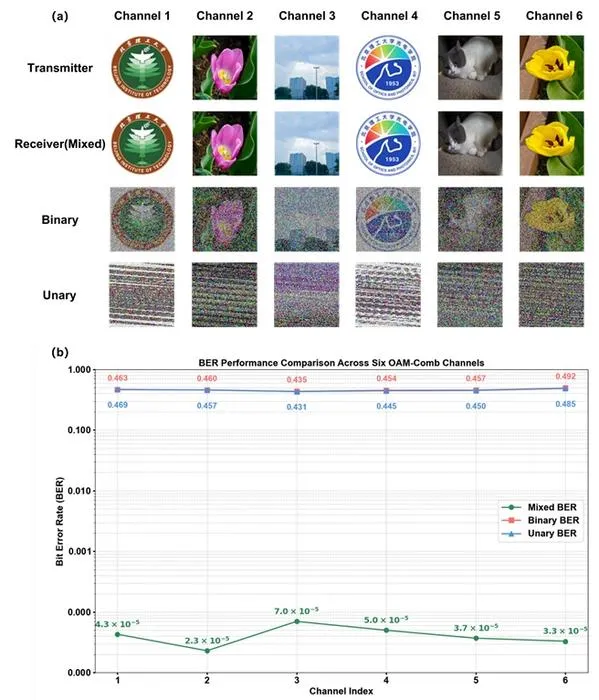 Figure 3 | Multicasting results and BER performance analysis
