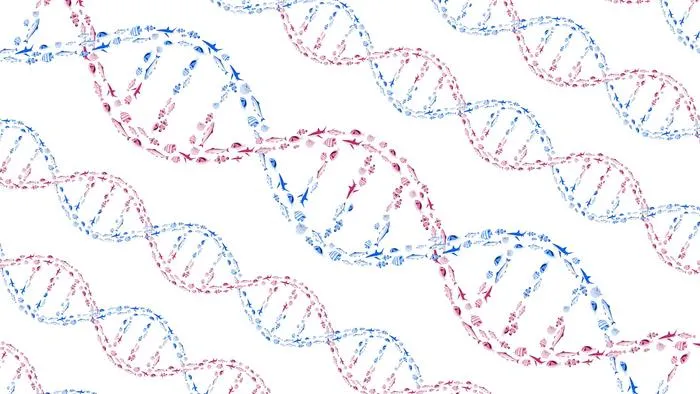 An illustration of DNA’s double helix structure formed by schools of swimming fish.