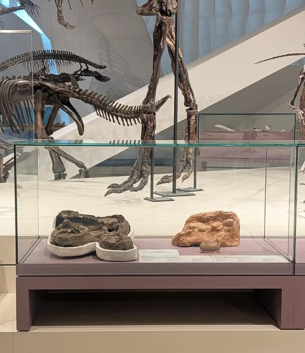 Gallery display