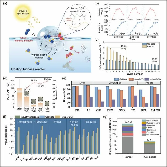 Photocatalytic performance and practical water‑remediation performance of urea‑COF‑based floating reactor
