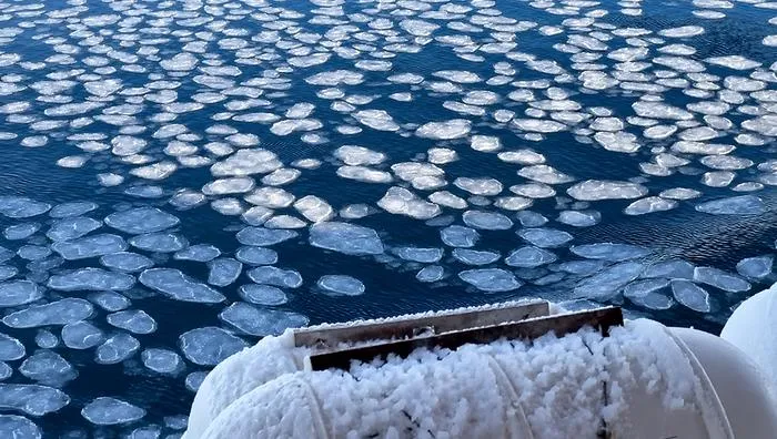 Sea ice floes from marine voyage.