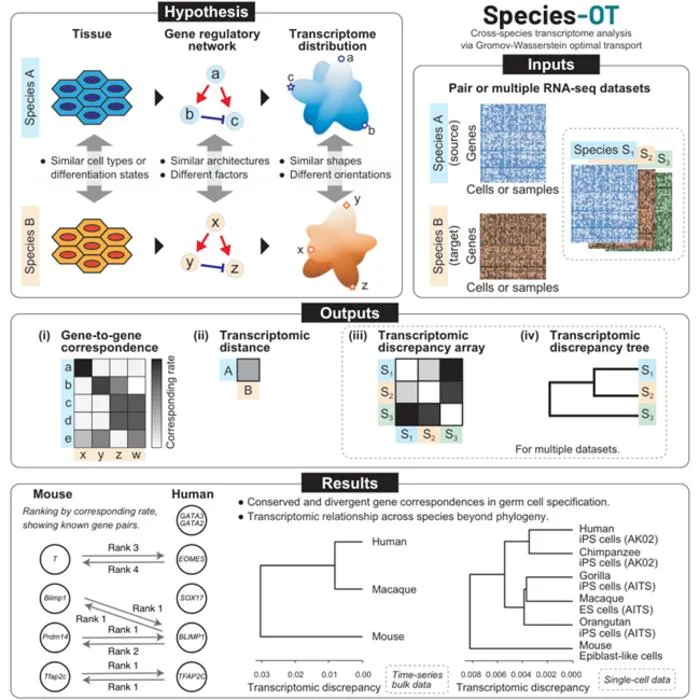 Figure 1. Overview of Species-OT