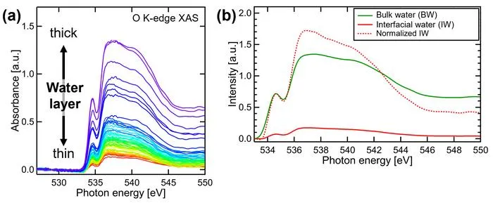 Figure 2. (a) X-ray absorption spectra measured at different water-layer thicknesses and (b) the spectra of interfacial water (IW) and bulk water (BW) separated by analyzing these data.