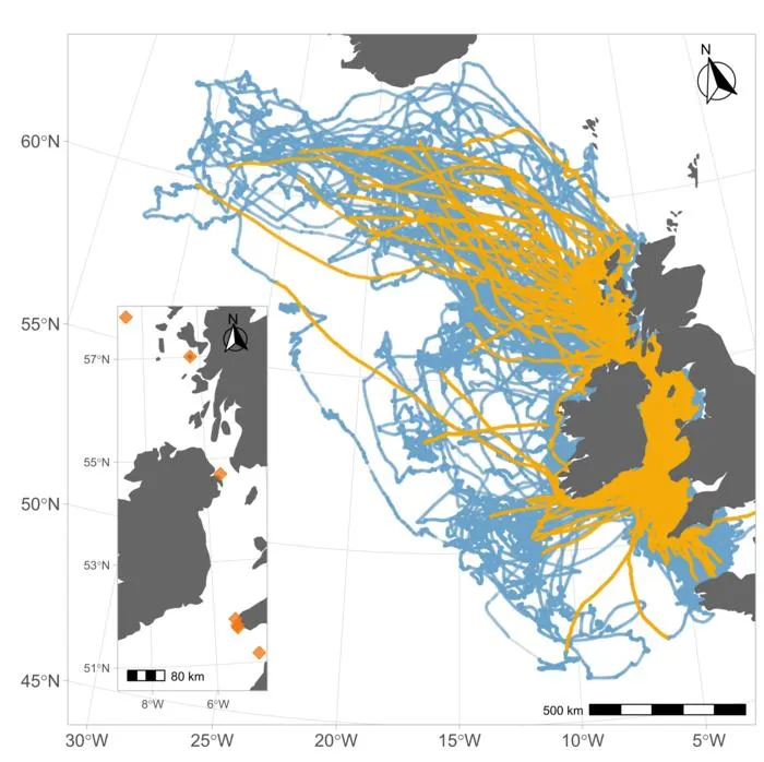 GPS Data