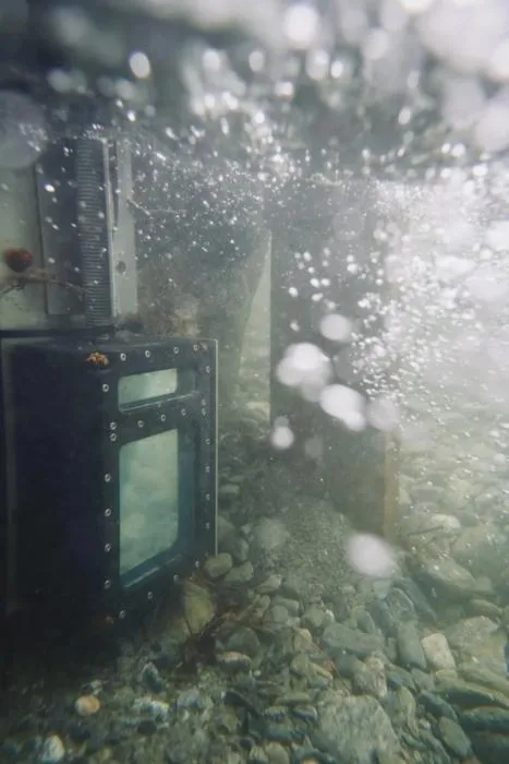 Fish monitoring_3_CAMERA.png
